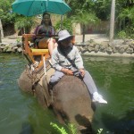 Travel Tips: The Elephant Expedition in Bali 