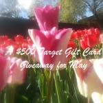 A $500 Target Gift Card Giveaway for May
