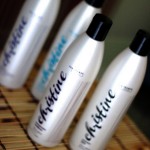 Christine Products – Beautiful Hair Starts Here